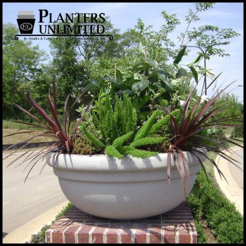 12 Extra Large Low Bowl Planters for Stunning Plant Designs - ePlanters