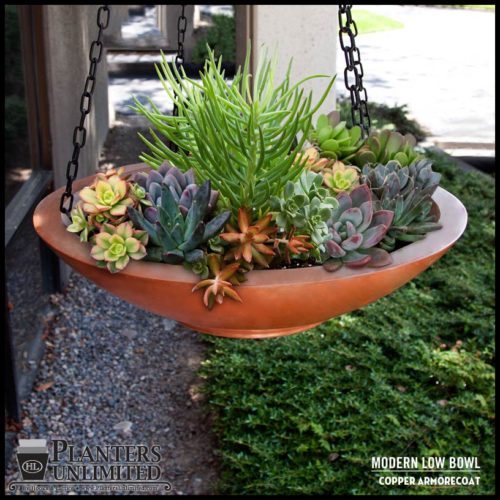 12 Extra Large Low Bowl Planters for Stunning Plant Designs - ePlanters